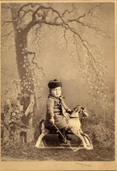 Junger Junge auf einem Schaukelpferd mit großem gemaltem Hintergrund, 1880er Jahre (Albuminabzug)